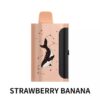 Fruit Flavour Vape